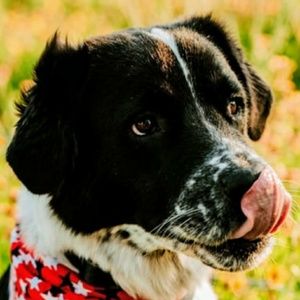 Meet your Posher, Kathryn